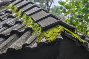 IMPORTANCE OF KEEPING YOUR ROOF CLEAN